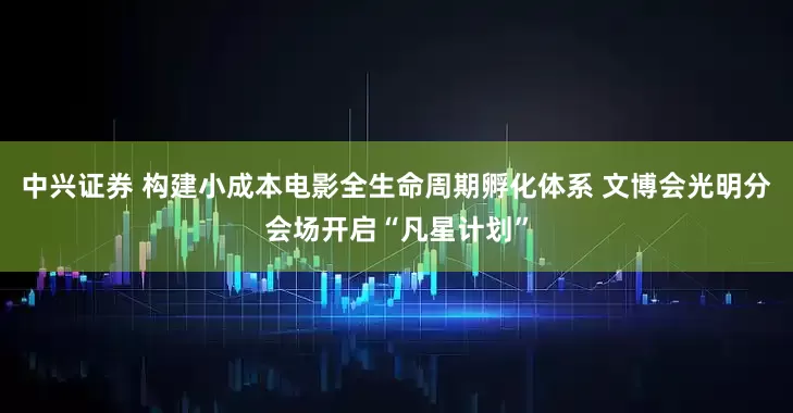 中兴证券 构建小成本电影全生命周期孵化体系 文博会光明分会场开启“凡星计划”