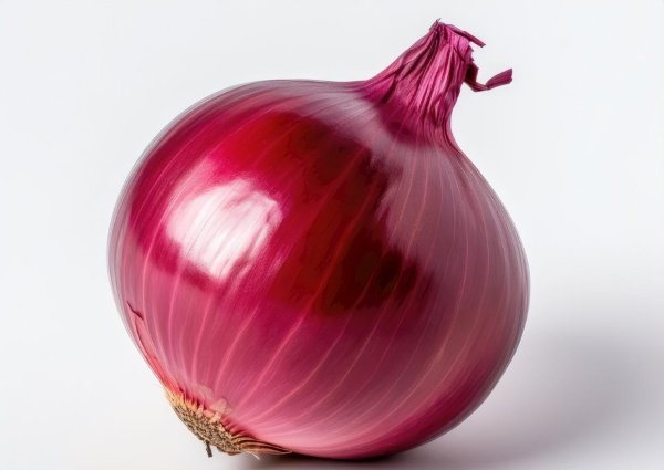 钱坛子 洋葱立大功！浙大研究证实：洋葱可在36小时清除15%老化细胞