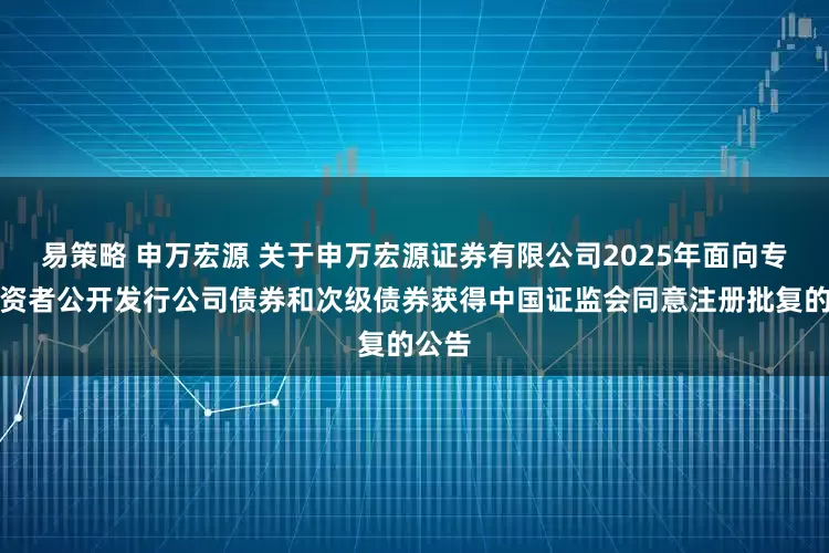 易策略 申万宏源 关于申万宏源证券有限公司2025年面向专业投资者公开发行公司债券和次级债券获得中国证监会同意注册批复的公告
