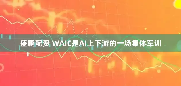 盛鹏配资 WAIC是AI上下游的一场集体军训